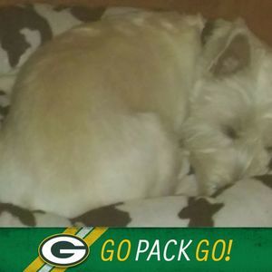 Meet your Posher, Jeffrey